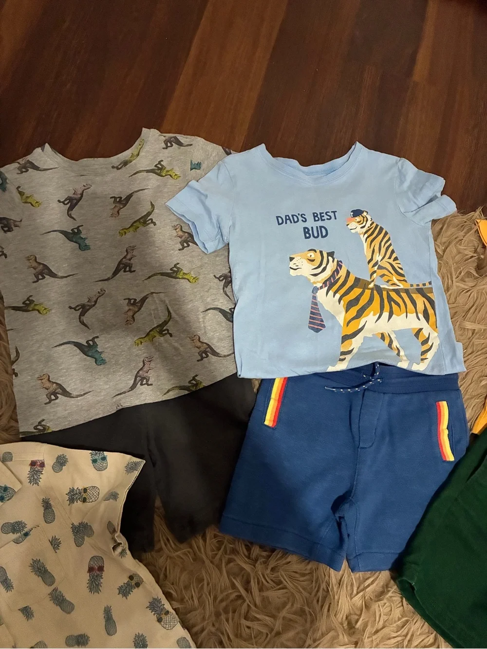Boys shorts tshirt hoodie bundle 4T 5T Old Navy Janie Jack Gap Children’s Place
